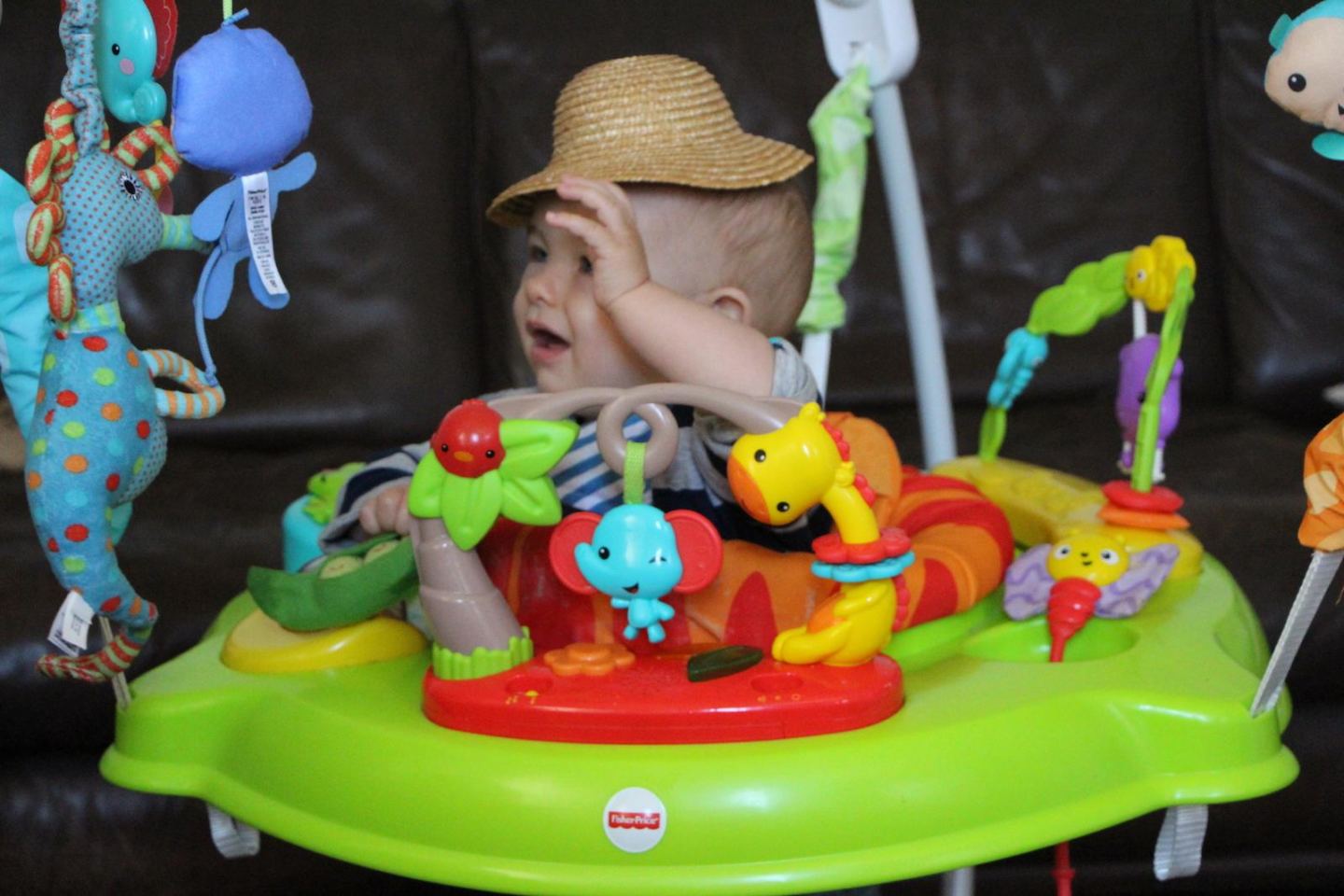 fisher price jumperoo review