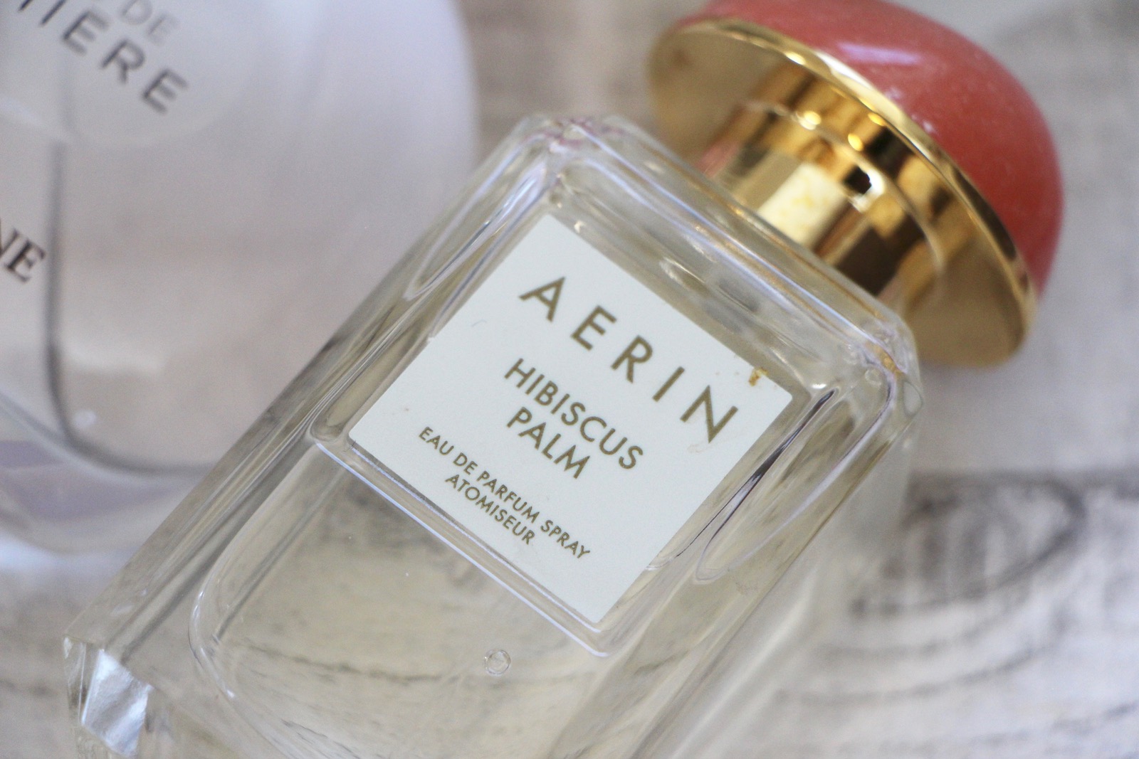 aerin hibiscus palm review