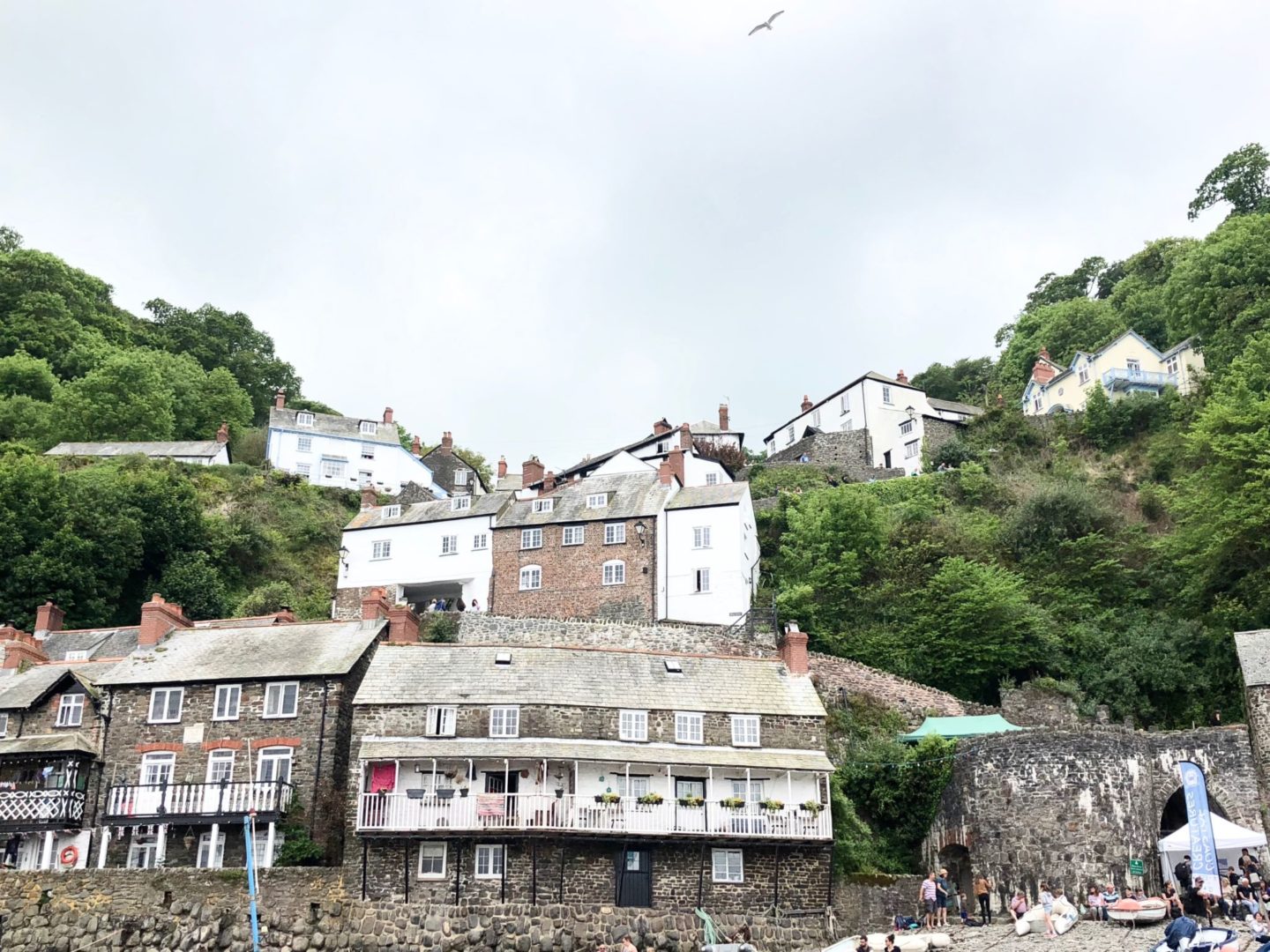 ruth crilly walking clovelly