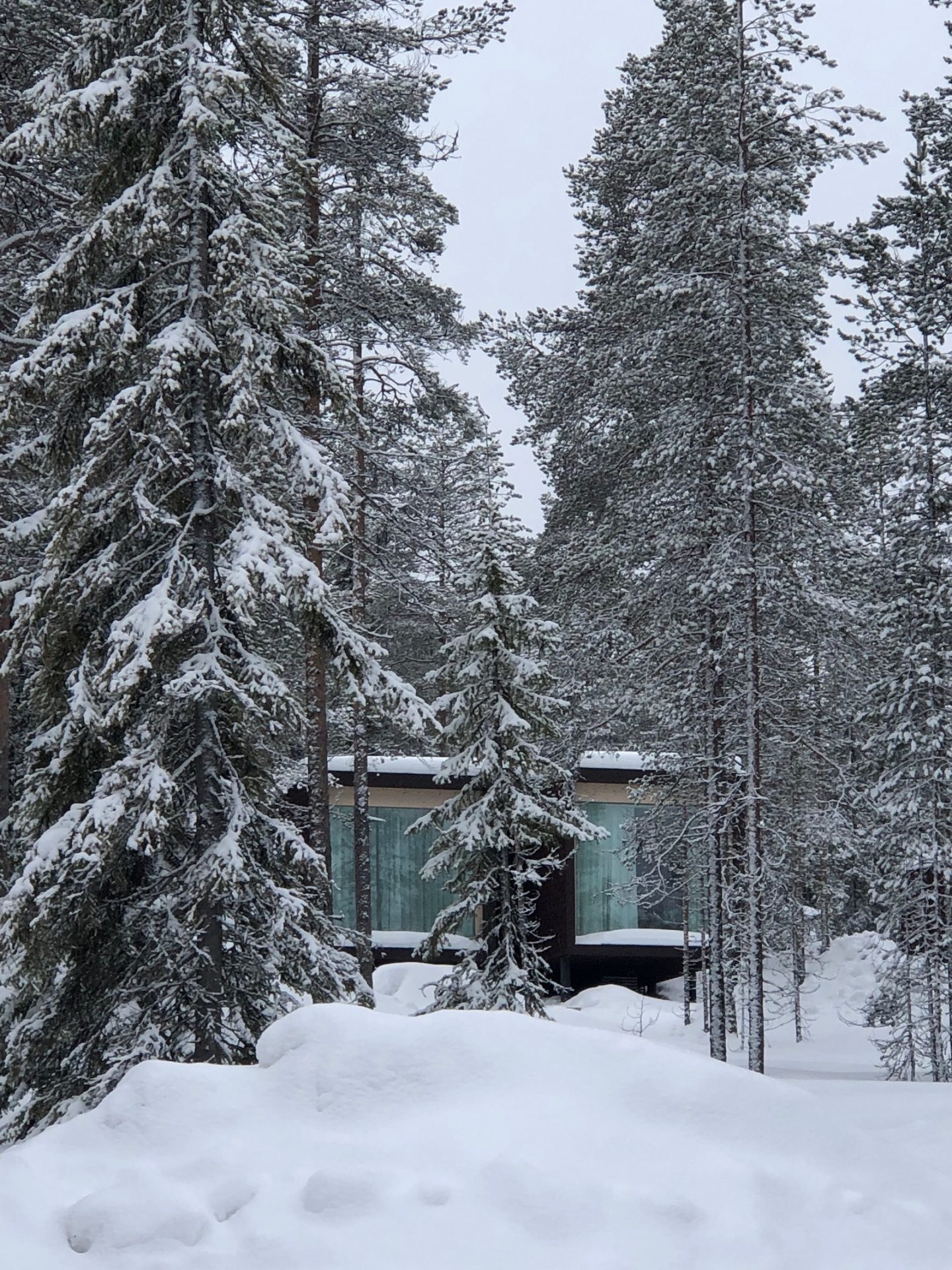arctic treehouse hotel review