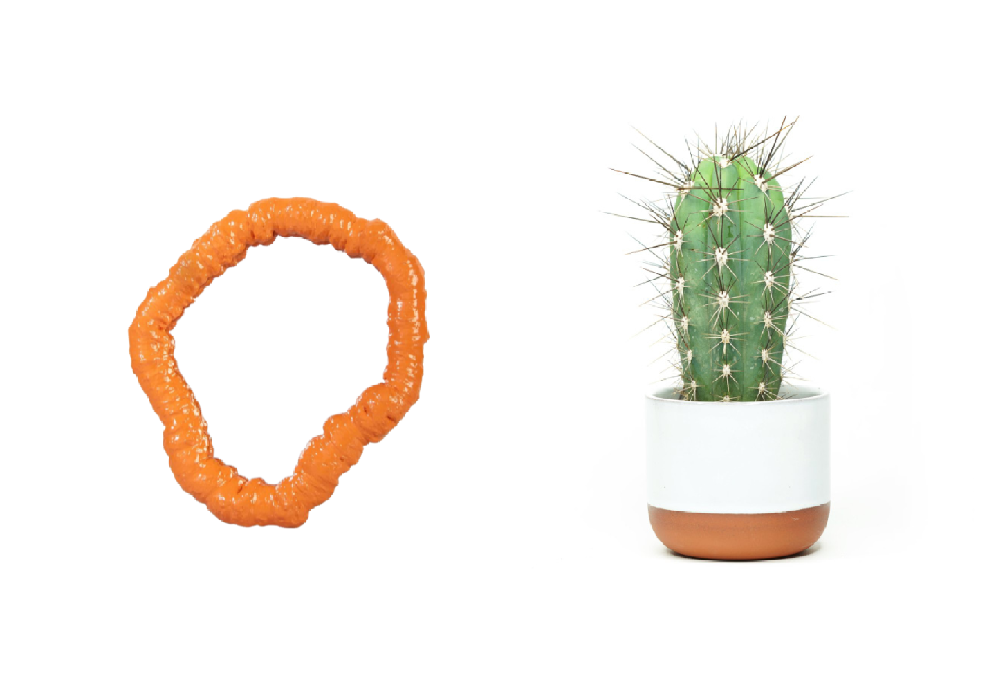 Miroir Orange Klevering et cactus