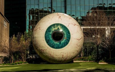 Contact Lens Update: Ocular Sabotage
